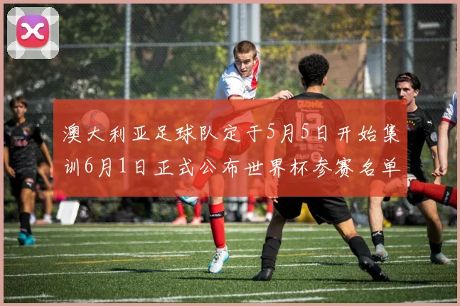 澳大利亚足球队定于5月5日开始集训6月1日正式公布世界杯参赛名单